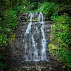 Cove Spring Park - Frankfort