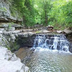 Cove Spring Park - Frankfort