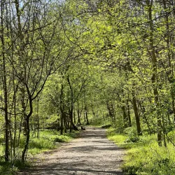 Cove Spring Park - Frankfort