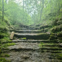 Cove Spring Park - Frankfort