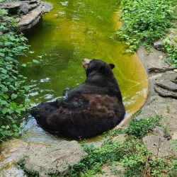 Salato Wildlife Education Center - Frankfort