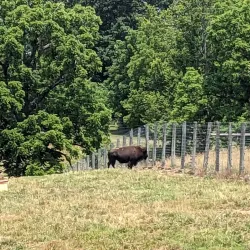 Salato Wildlife Education Center - Frankfort