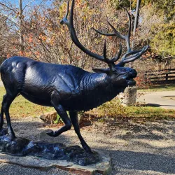 Salato Wildlife Education Center - Frankfort