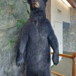 Salato Wildlife Education Center - Frankfort