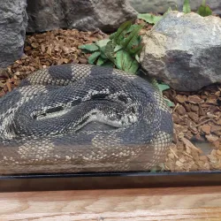 Salato Wildlife Education Center - Frankfort