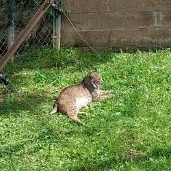 Salato Wildlife Education Center - Frankfort