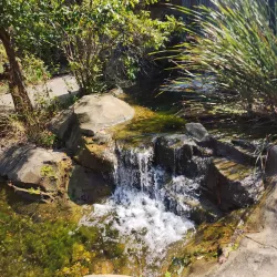 Salato Wildlife Education Center - Frankfort