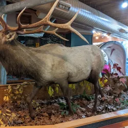 Salato Wildlife Education Center - Frankfort