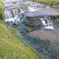 Elkhorn Creek Park - Georgetown