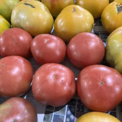 Georgetown Farmers Market - Georgetown