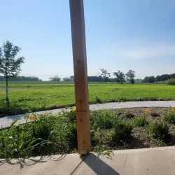 Georgetown Farmers Market - Georgetown