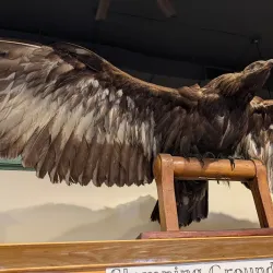 Georgetown-Scott County Museum - Georgetown