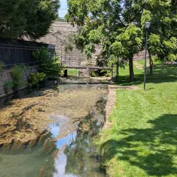 Royal Spring Park - Georgetown