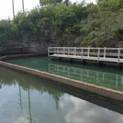 Royal Spring Park - Georgetown