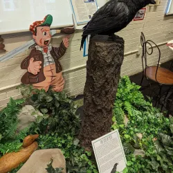 Scott County History Museum - Georgetown