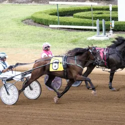 The Red Mile - Georgetown