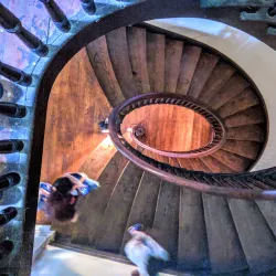 Ward Hall - Georgetown