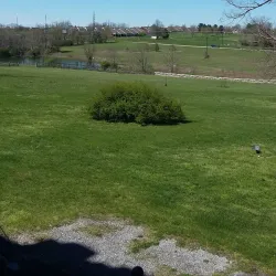 Ward Hall - Georgetown