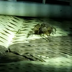 Barren River Lake Marina - Glasgow