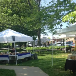 Glasgow Farmers Market - Glasgow