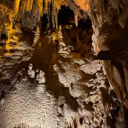 Mammoth Cave National Park (nearby) - Glasgow