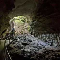 Mammoth Cave National Park (nearby) - Glasgow