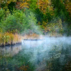 Cliffview Resort and Zipline - Hazard