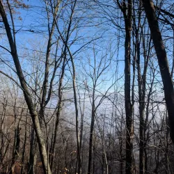 Hazard City Park - Hazard