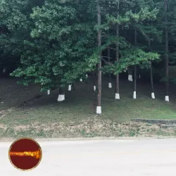 Hazard City Park - Hazard