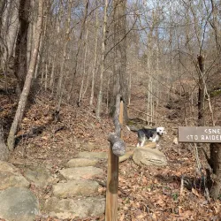 Hazard City Park - Hazard