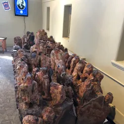 Christian County Historical Society Museum - Hopkinsville