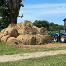 Downtown Hopkinsville - Hopkinsville