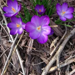 Downtown Hopkinsville - Hopkinsville