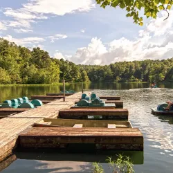 Pennyrile Forest State Resort Park - Hopkinsville