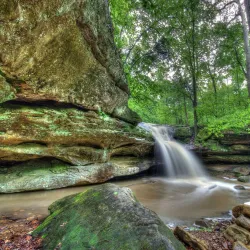 Pennyrile Forest State Resort Park - Hopkinsville