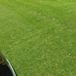 Lebanon Country Club - Lebanon