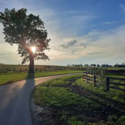 Kentucky Horse Park - Lexington