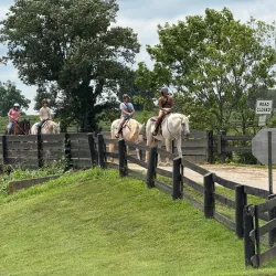 Kentucky Horse Park - Lexington