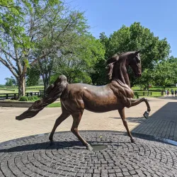 Kentucky Horse Park - Lexington