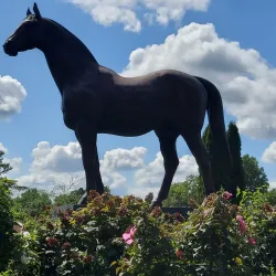 Kentucky Horse Park - Lexington