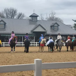 Kentucky Horse Park - Lexington