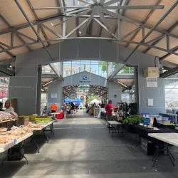 Lexington Farmers Market - Lexington