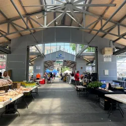Lexington Farmers Market - Lexington