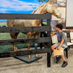 Lexington History Museum - Lexington