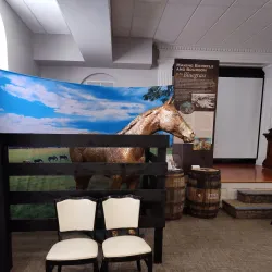 Lexington History Museum - Lexington