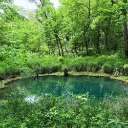 McConnell Springs - Lexington