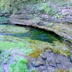 McConnell Springs - Lexington