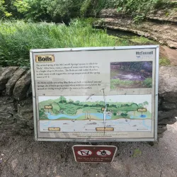 McConnell Springs - Lexington