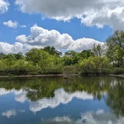 McConnell Springs - Lexington