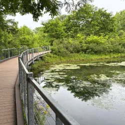 McConnell Springs - Lexington